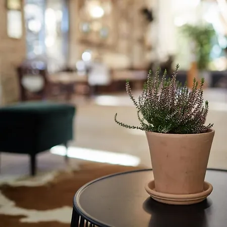 Bed & Breakfast Tercia Hubertus Panzio Sopron