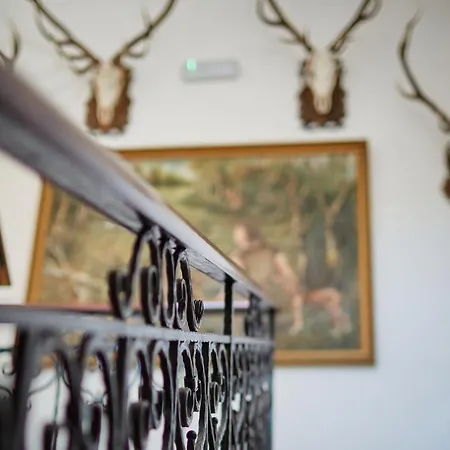 Bed and Breakfast Tercia Hubertus Panzio Σόπρον