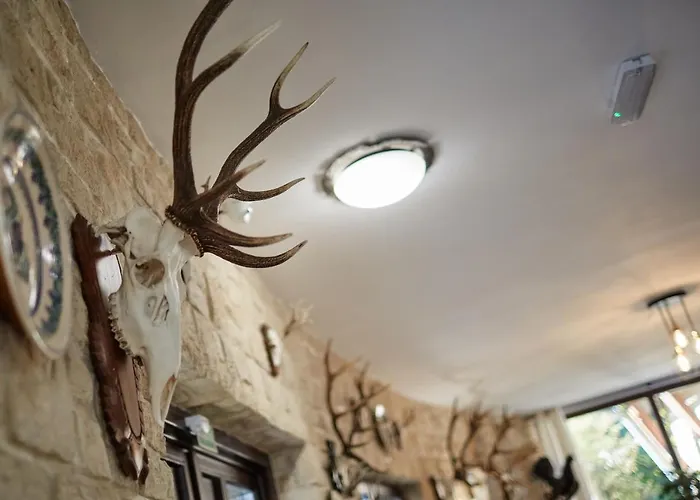 Tercia Hubertus Panzió Panzió 4*