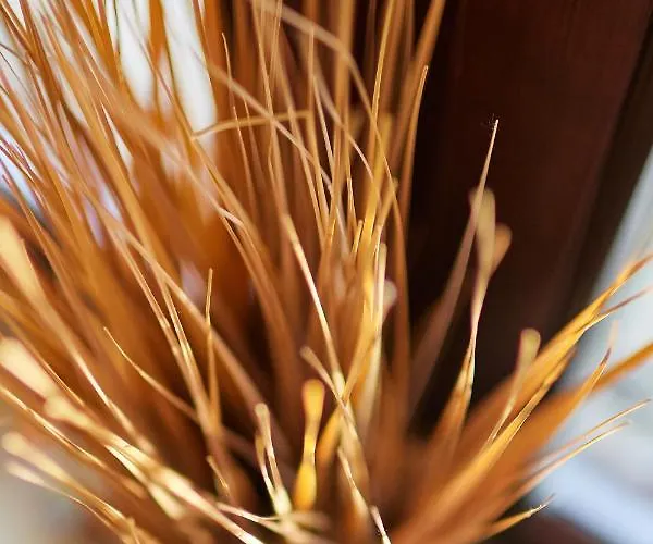 Tercia Hubertus Panzió Panzió 4*