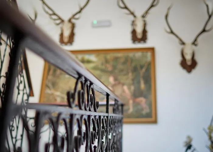 Panzió Tercia Hubertus Panzió Sopron