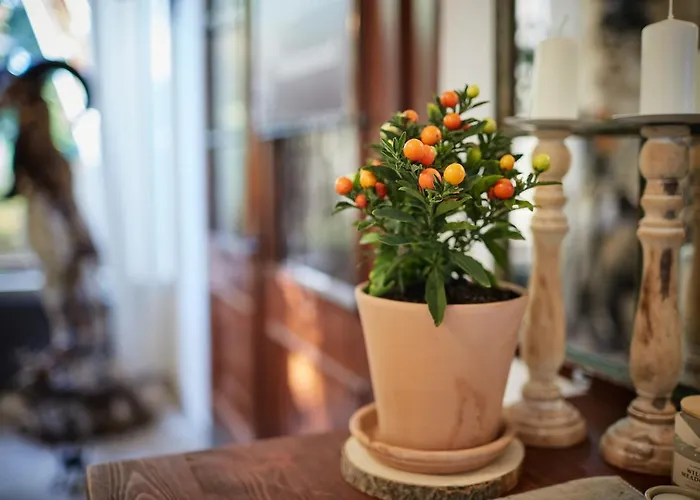 Tercia Hubertus Panzio Bed & Breakfast 4*