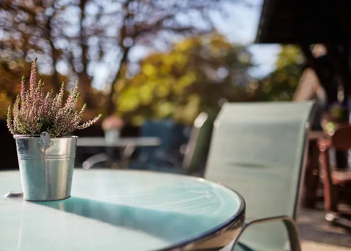 Tercia Hubertus Panzió 4* Sopron