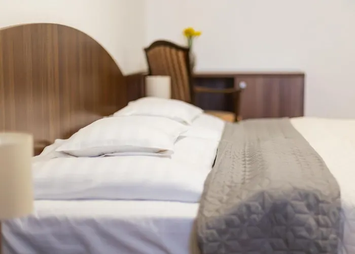 Panzió Tercia Hubertus Panzió 4*