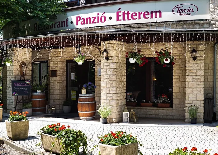 Tercia Hubertus Panzio Nocleg ze śniadaniem Sopron